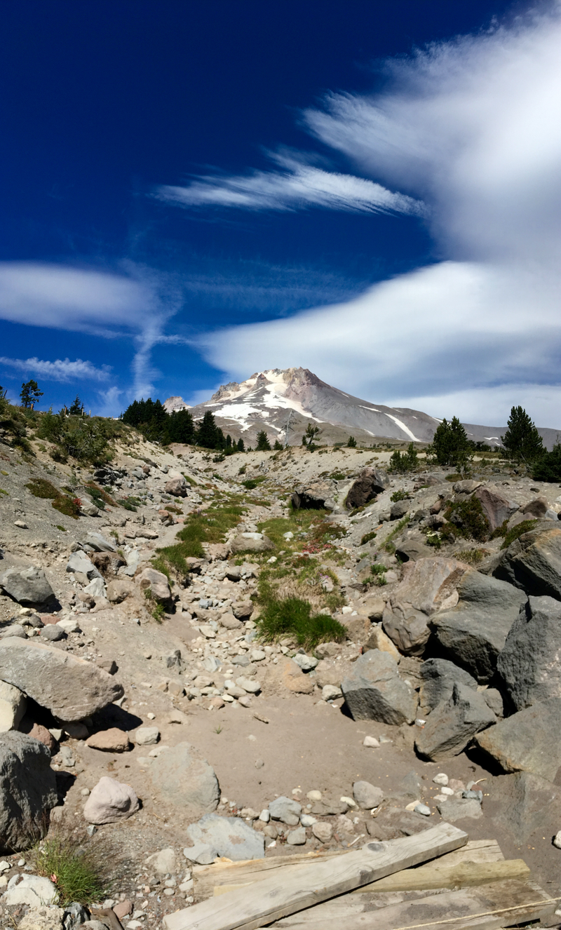 My. Hood from the Timberline Lodge